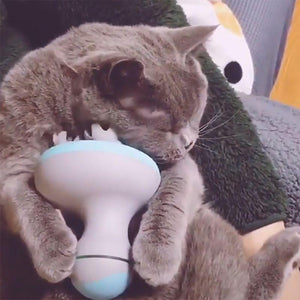 "Pamper Your Cat" Pet Intelligent Massager