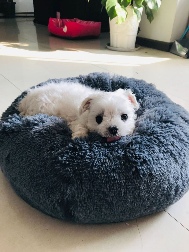 Round Cushion Pet Bed